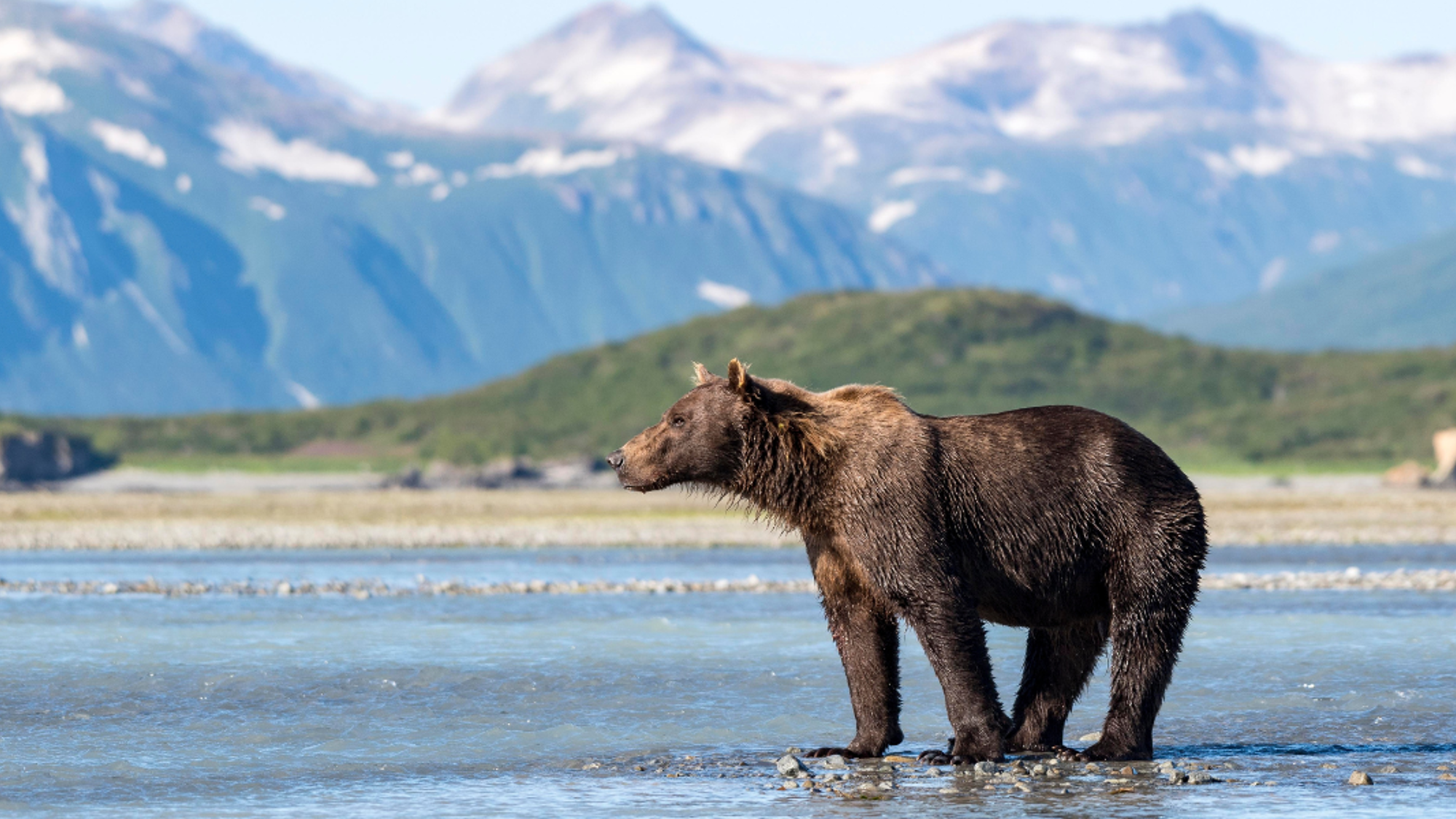 Et partez à la découverte de la terre des ours et des glaciers !