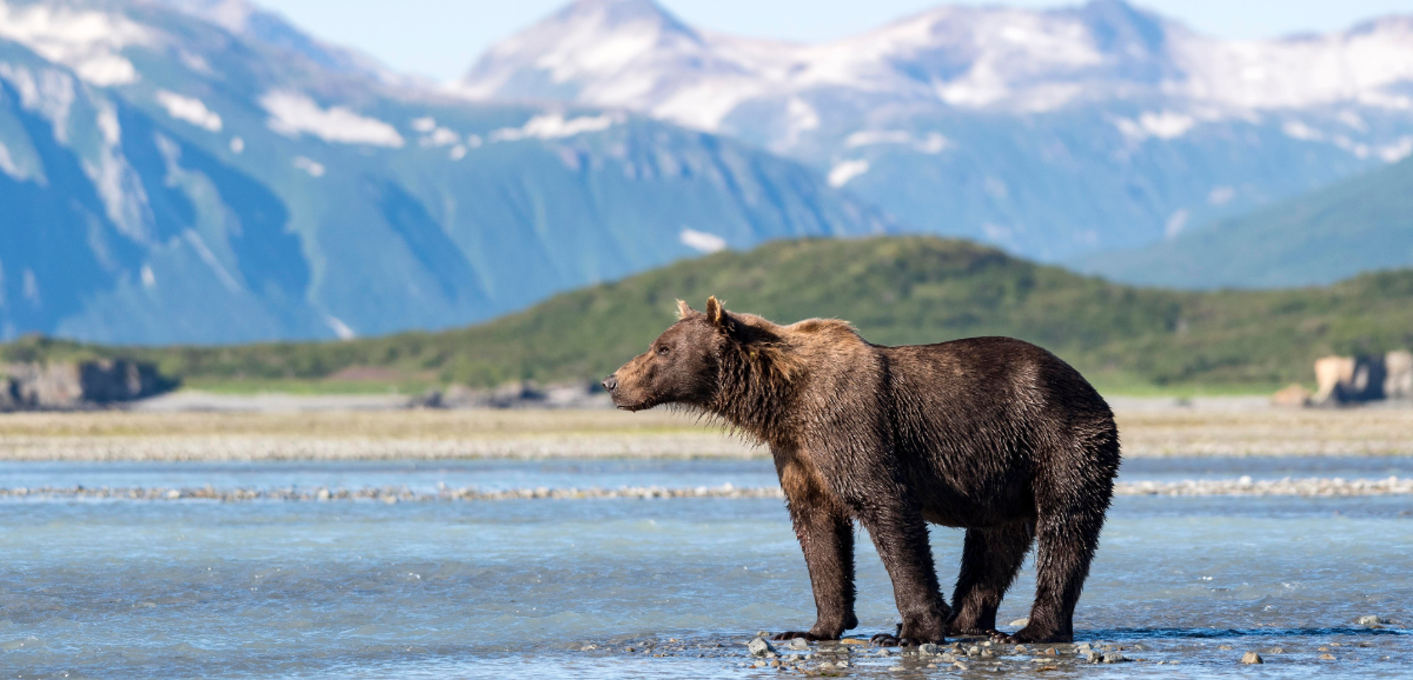 Et partez à la découverte de la terre des ours et des glaciers !