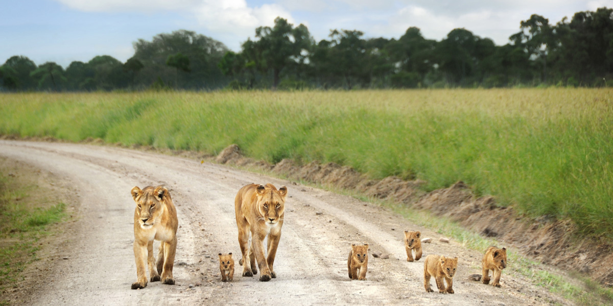 Du parc national de Tsavo