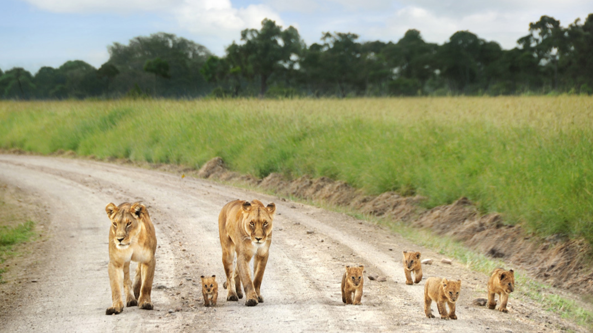 Du parc national de Tsavo