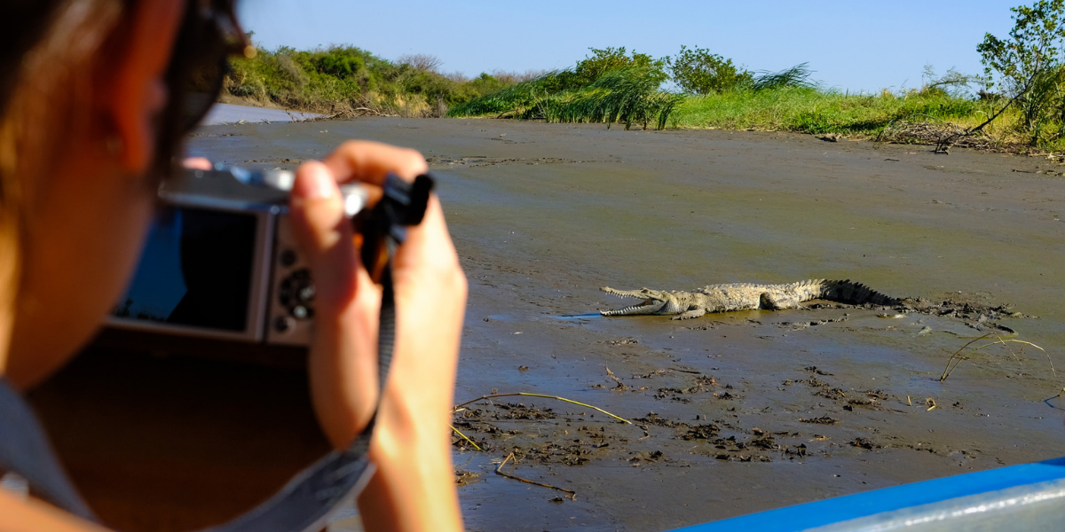 A vos appareils photo ! 