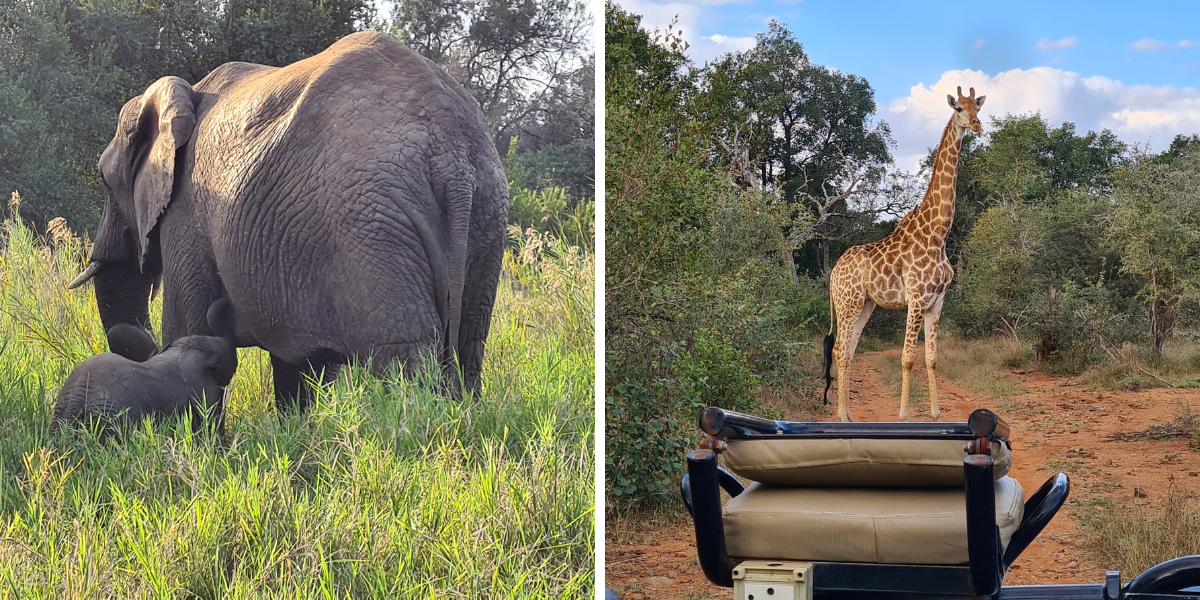 A la recherche des Big Five