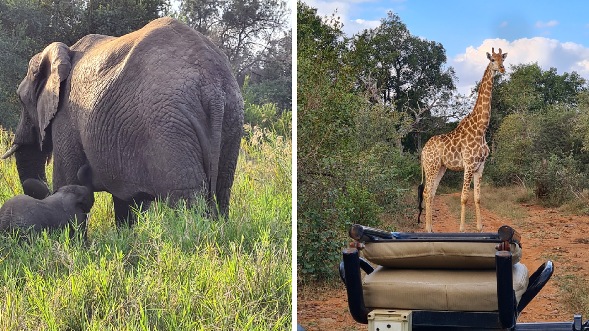 A la recherche des Big Five