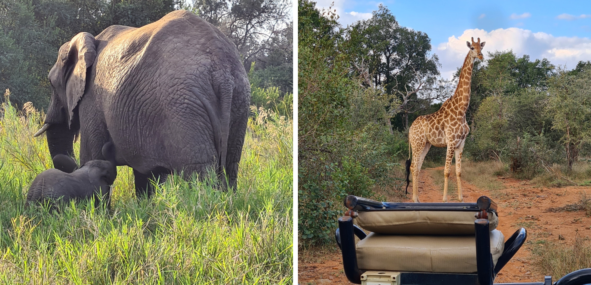 A la recherche des Big Five