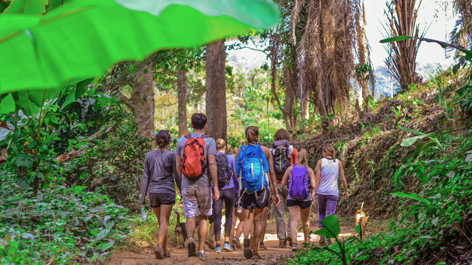 Le Parc National de Khao Yai (selon date de départ)