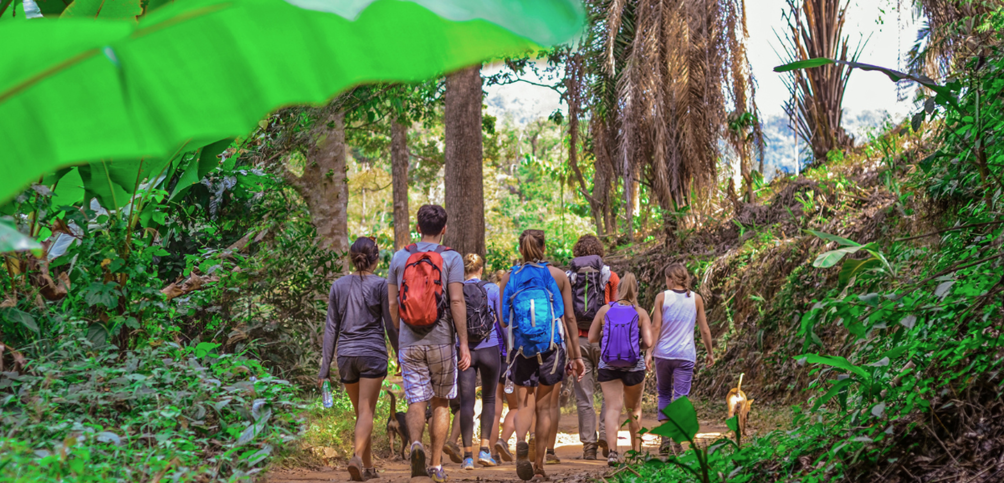 Le Parc National de Khao Yai (selon date de départ)