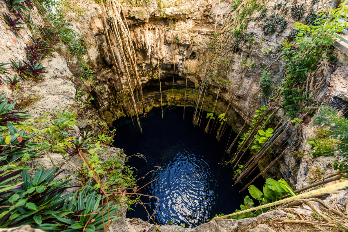 Cénote Oxman, Mexique ©Shutterstock   