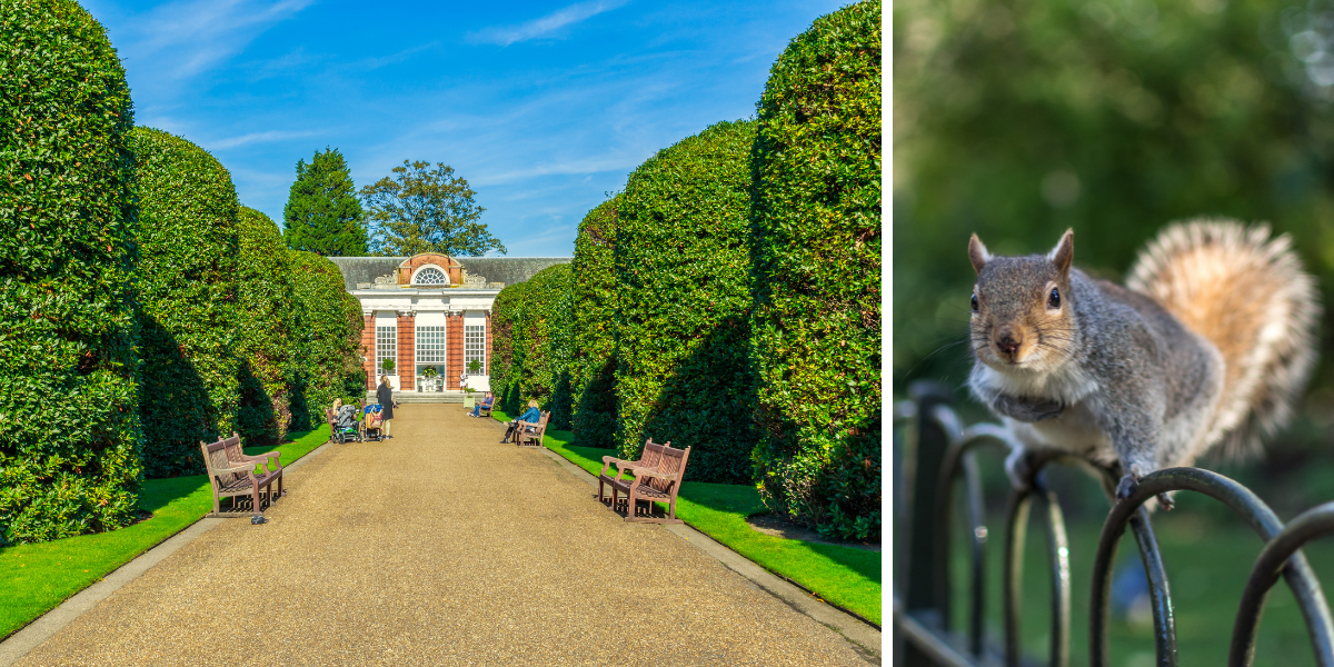 ...aux parcs londoniens 