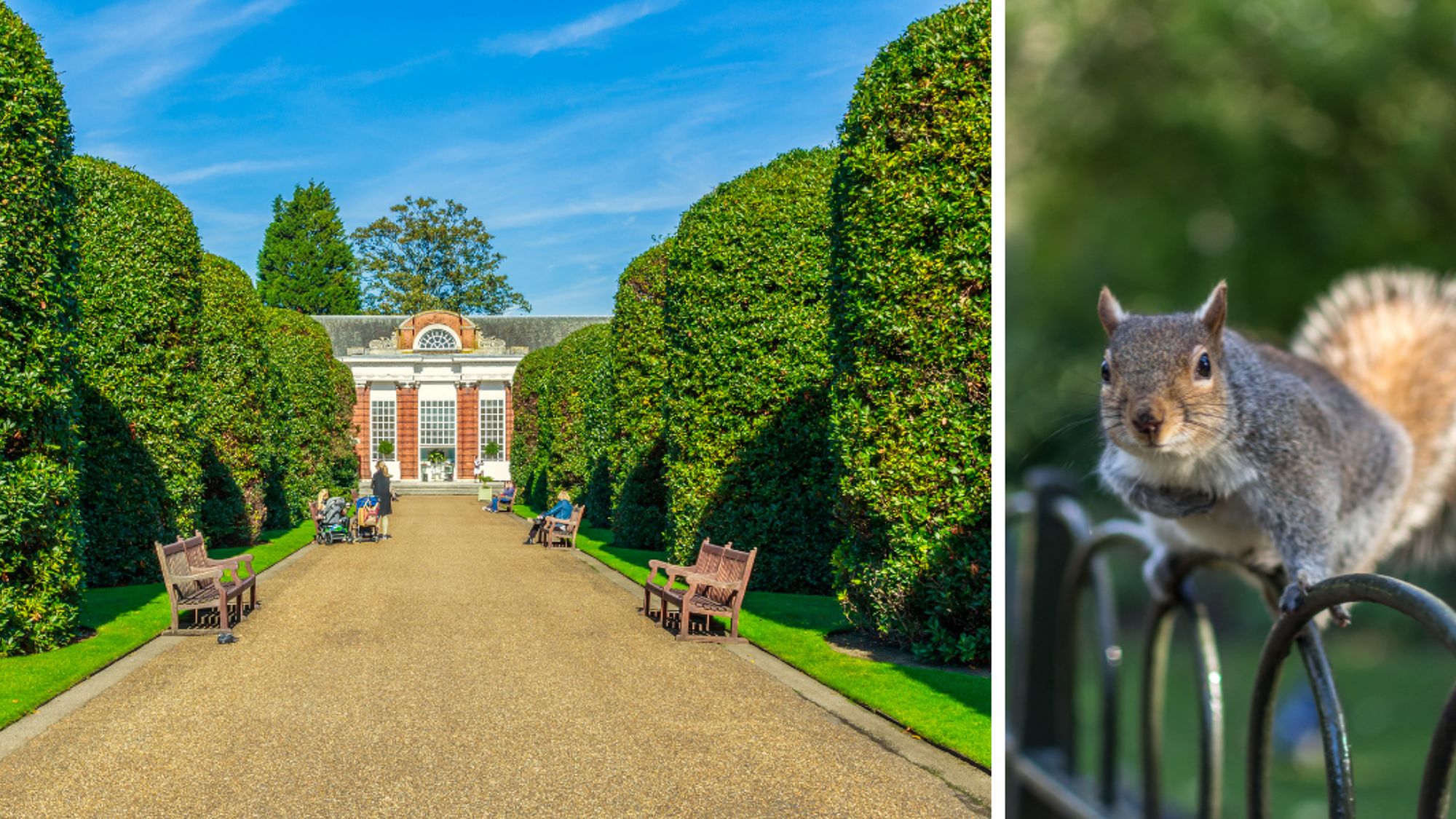 ...aux parcs londoniens