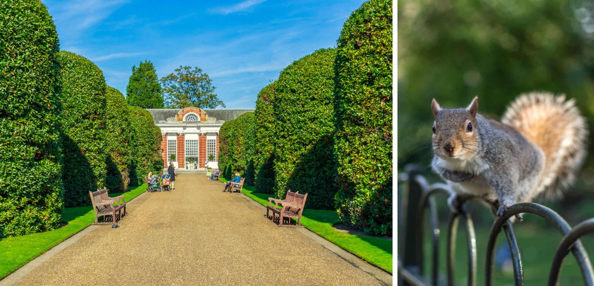 ...aux parcs londoniens