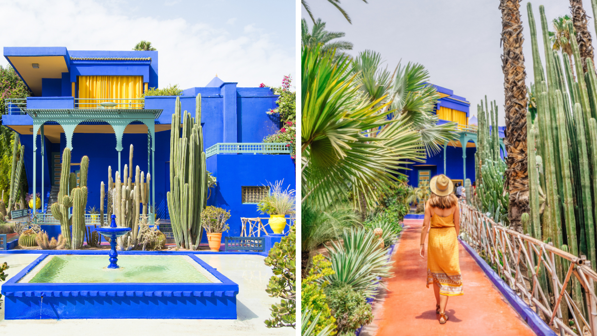 Visitez l'incontournable Jardin Majorelle