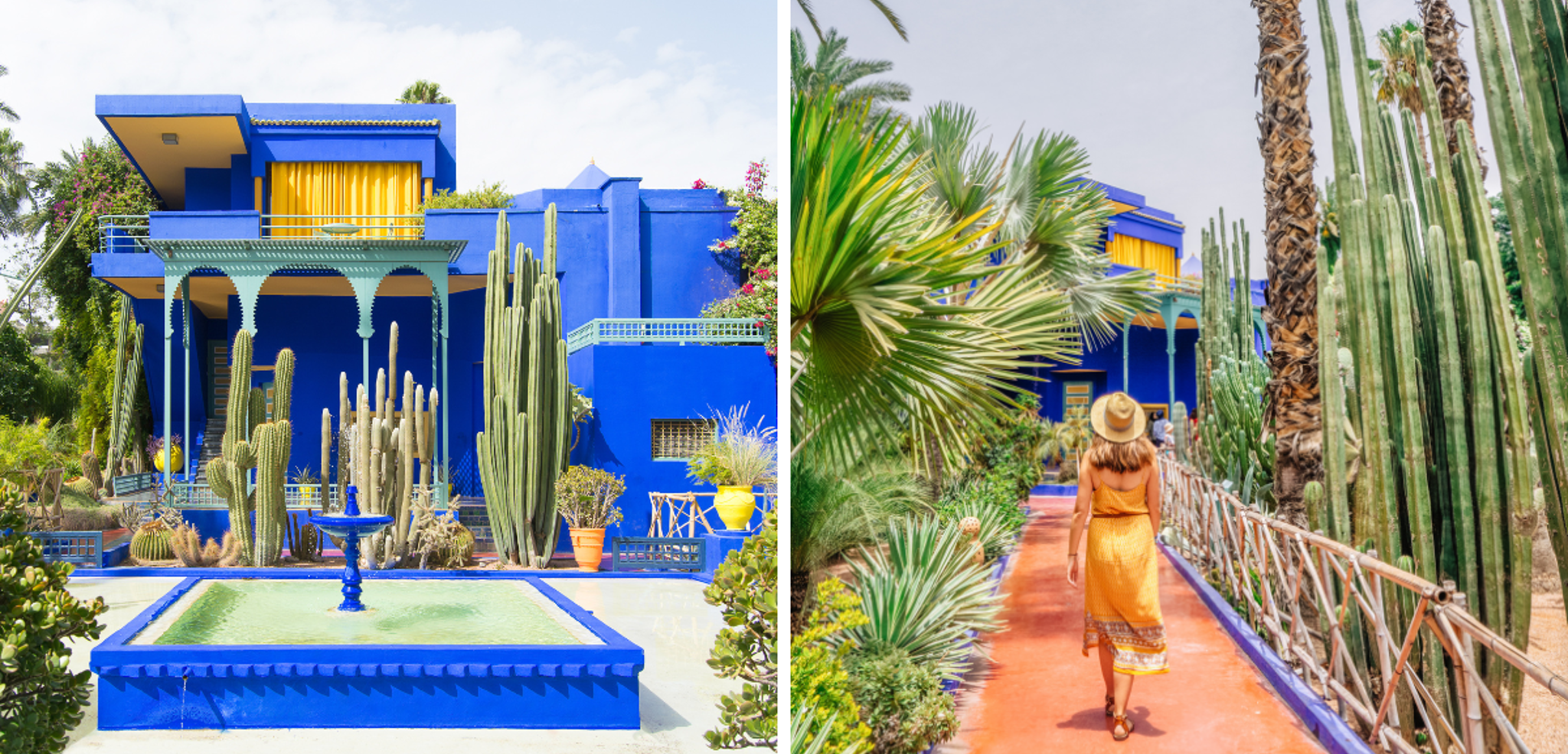 Visitez l'incontournable Jardin Majorelle