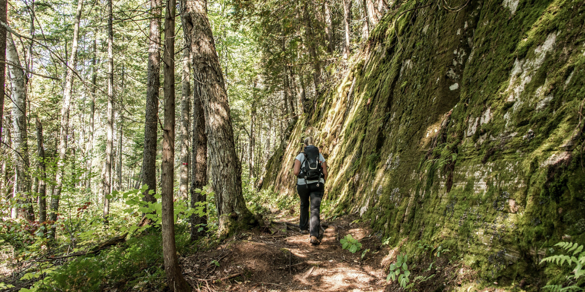 Une plongée dans la forêt boréale du Parc national de la Mauricie - jour 3 