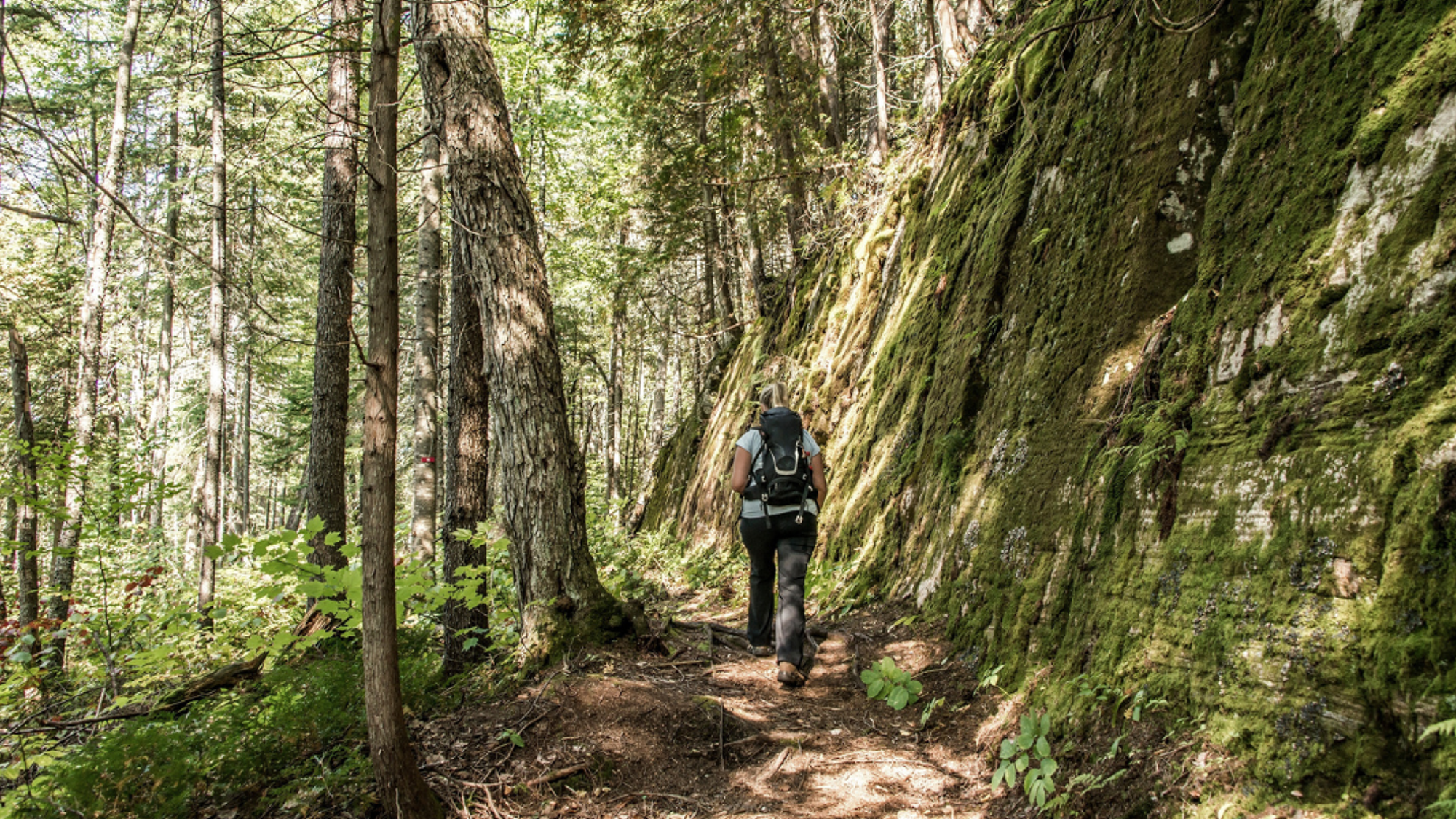 Une plongée dans la forêt boréale du Parc national de la Mauricie - jour 3