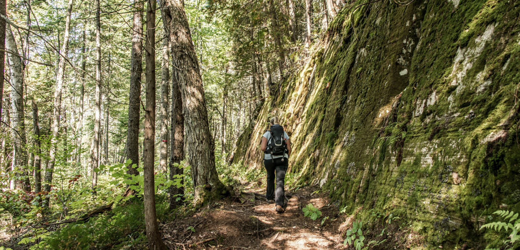 Une plongée dans la forêt boréale du Parc national de la Mauricie - jour 3