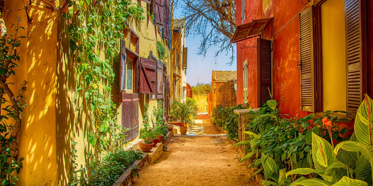 Et visitez l'Ile de Gorée