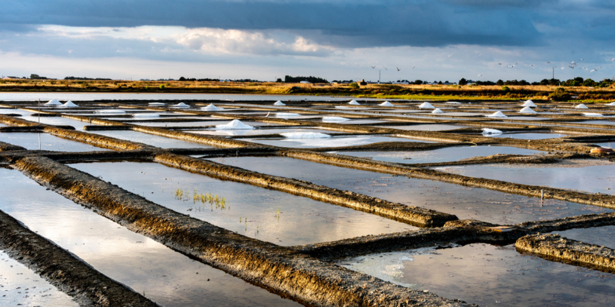 Les marais salants