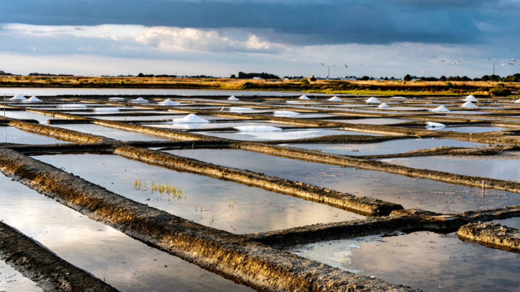 Les marais salants