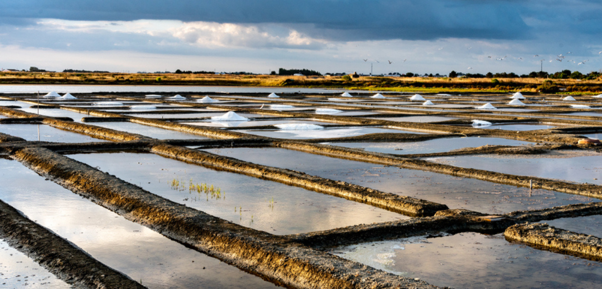 Les marais salants