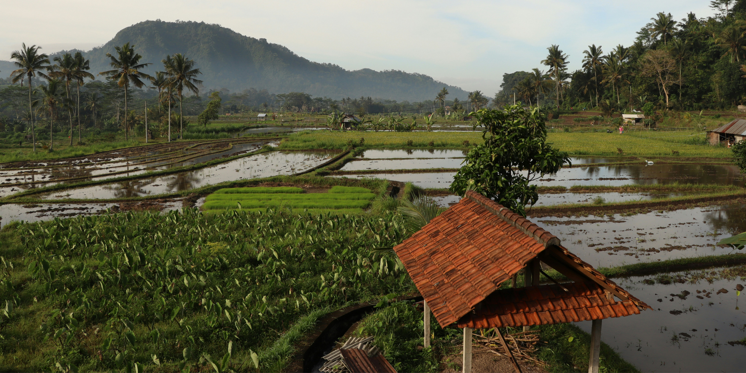 Sidemen, Bali ©Tom Donders / Unsplash