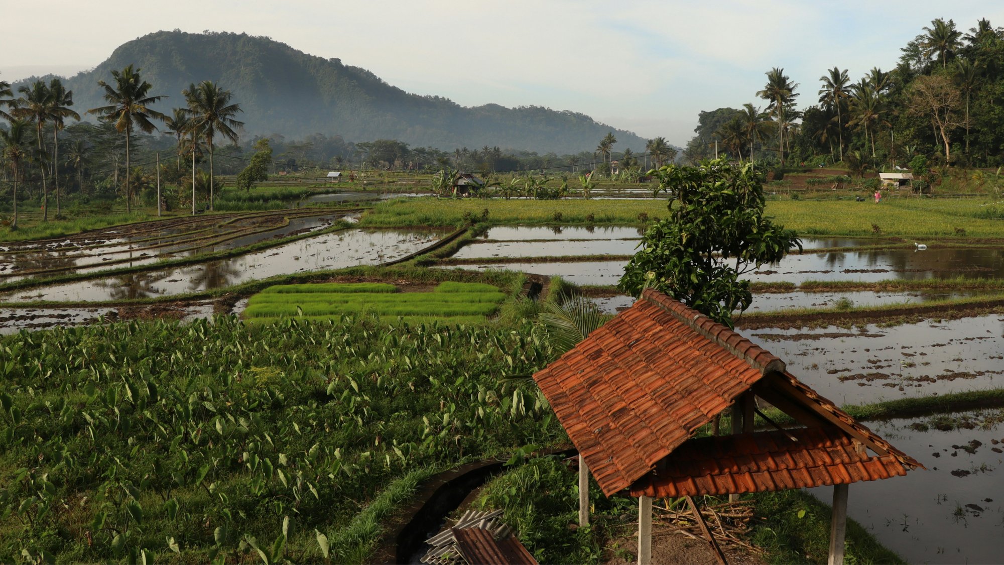 Sidemen, Bali ©Tom Donders / Unsplash