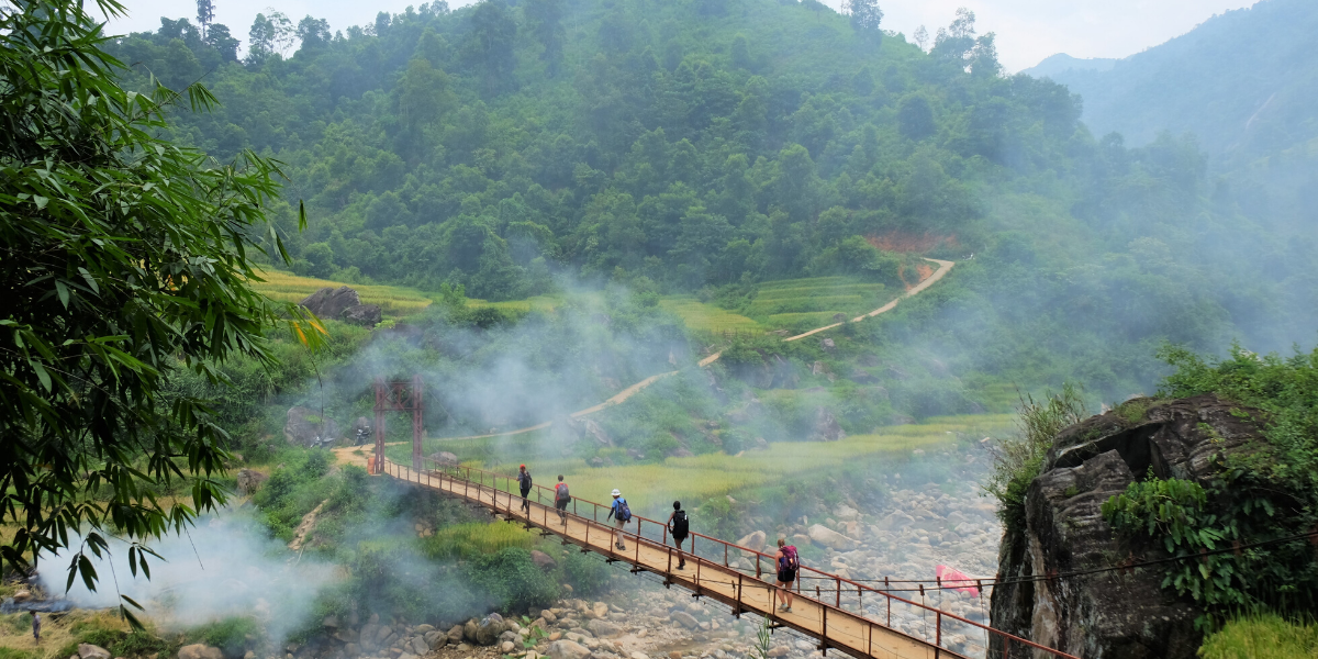 Vous plongez au coeur de la nature !