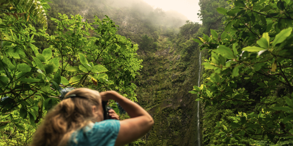 Levada des 25 fontaines, Rabaçal, Madère  ©Matthias Groeneveld / Pexels