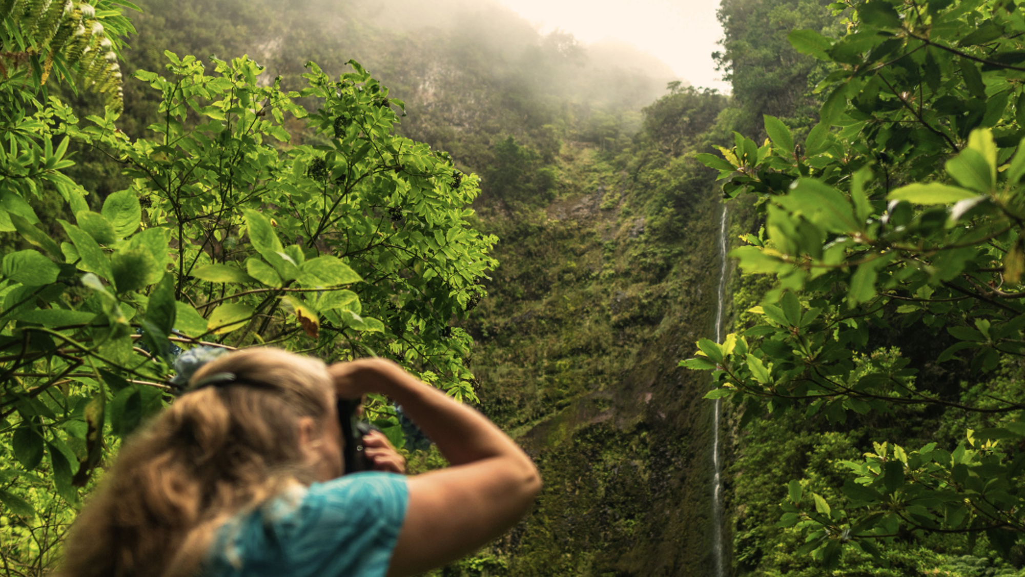 Levada des 25 fontaines, Rabaçal, Madère ©Matthias Groeneveld / Pexels