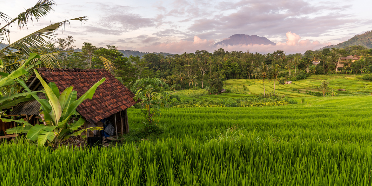 Partez à Sidemen : un vrai havre de paix !