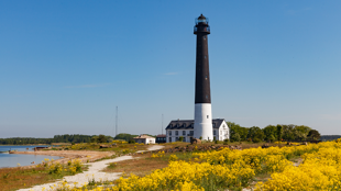 Bienvenue en Estonie !