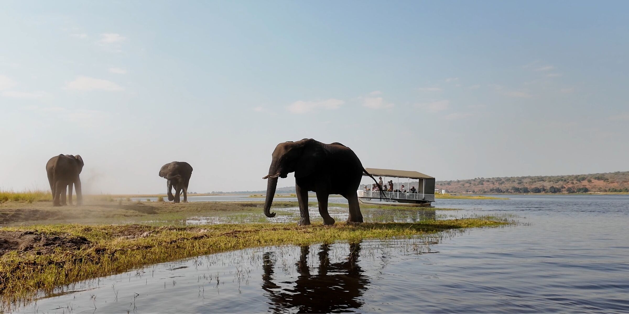 Safari en bateau, Botswana