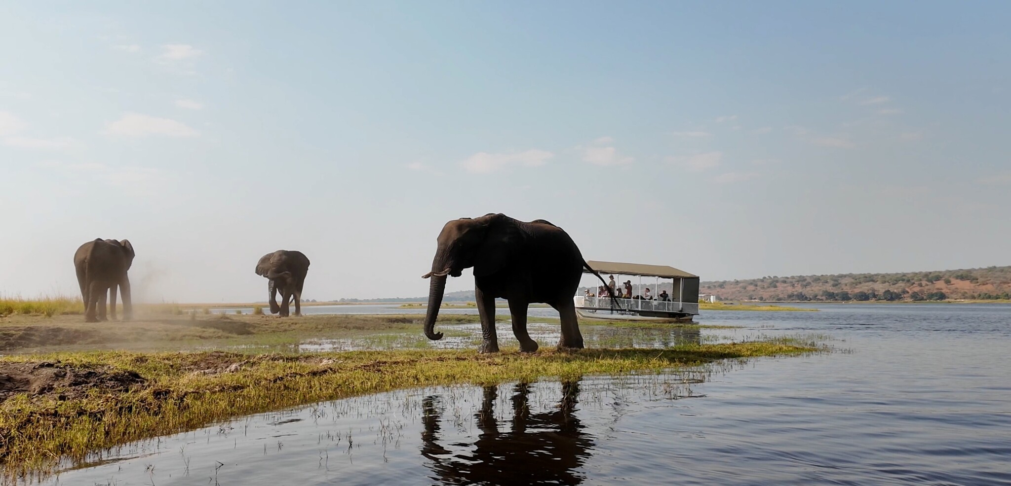 Safari en bateau, Botswana