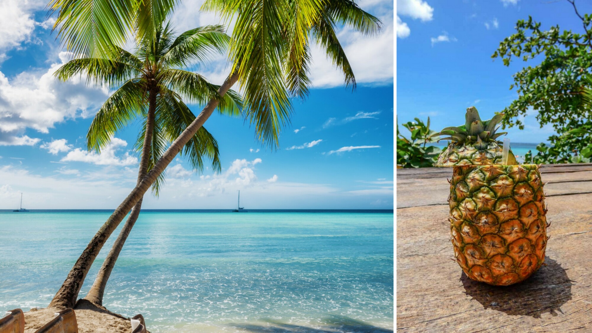 Un jus de fruit frais ?