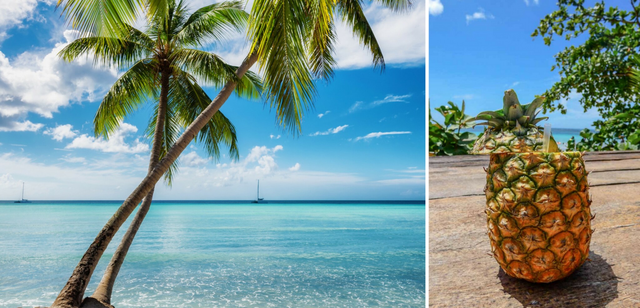 Un jus de fruit frais ?