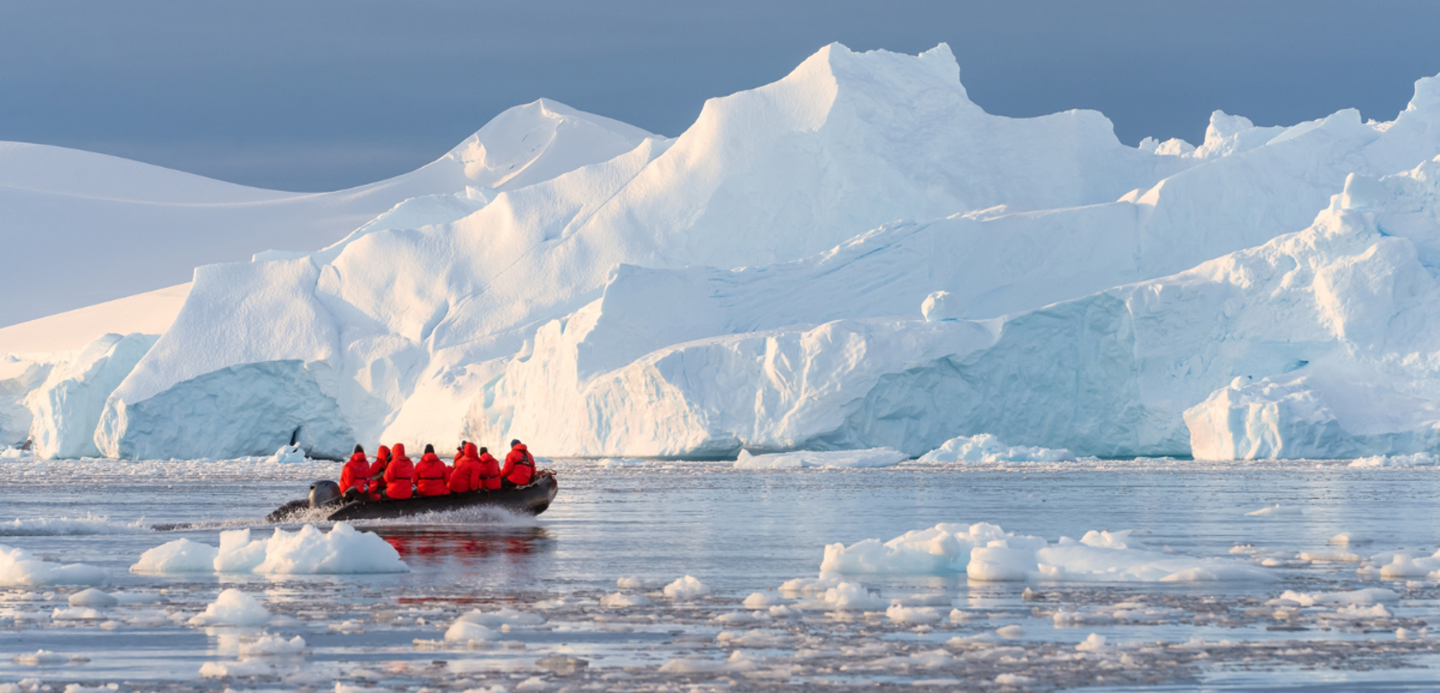 Et d'explorer le continent glacé !