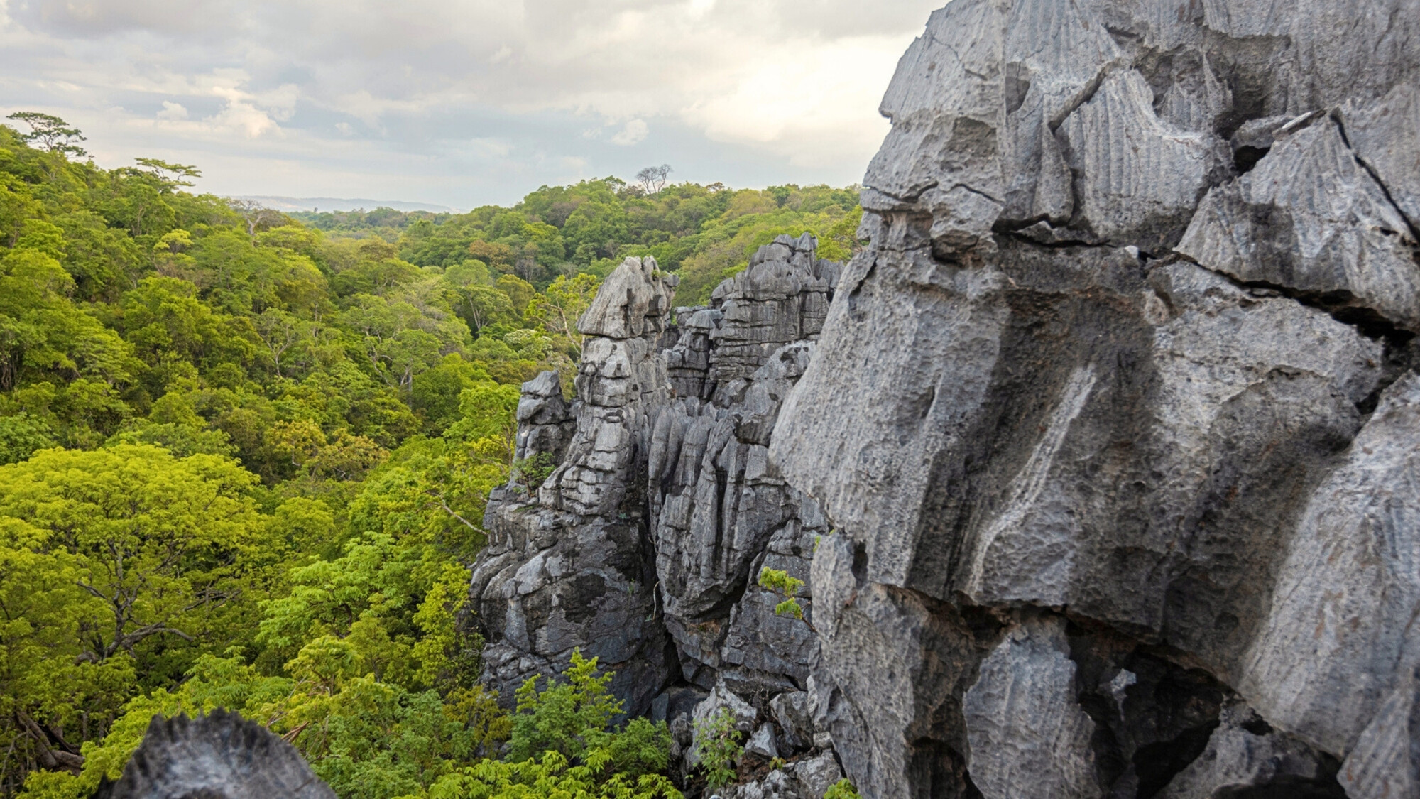 Réserve spéciale d’Ankarana, Madagascar