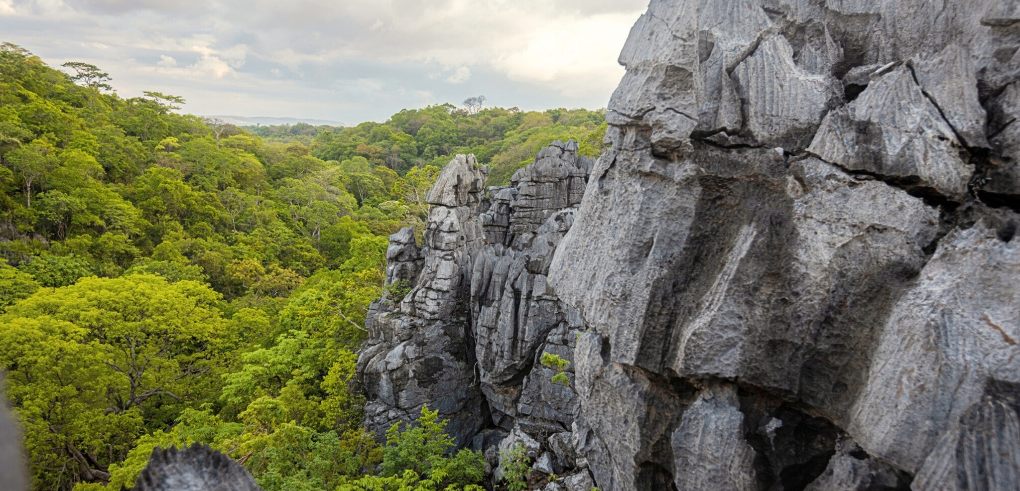 Réserve spéciale d’Ankarana, Madagascar