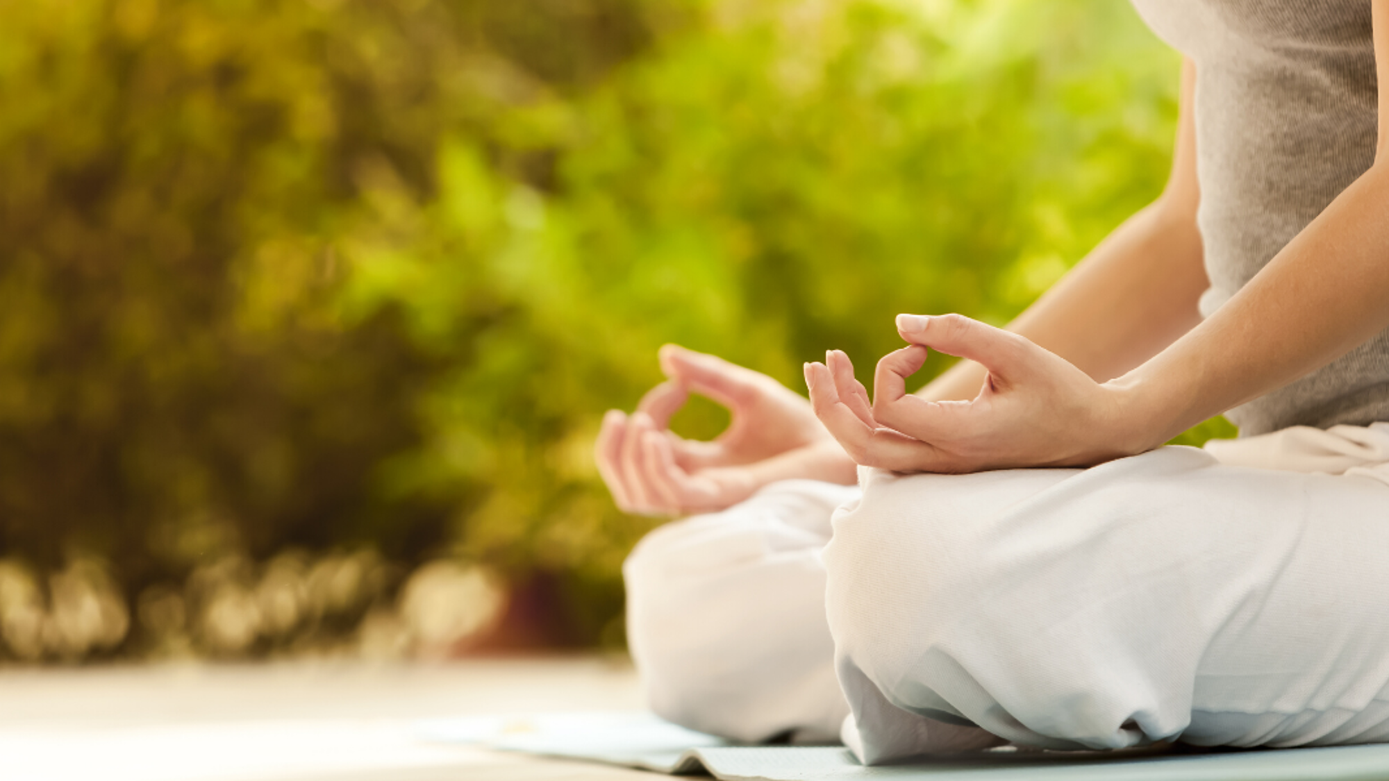 Profitez d'une séance de Yoga dans les jardins du domaine