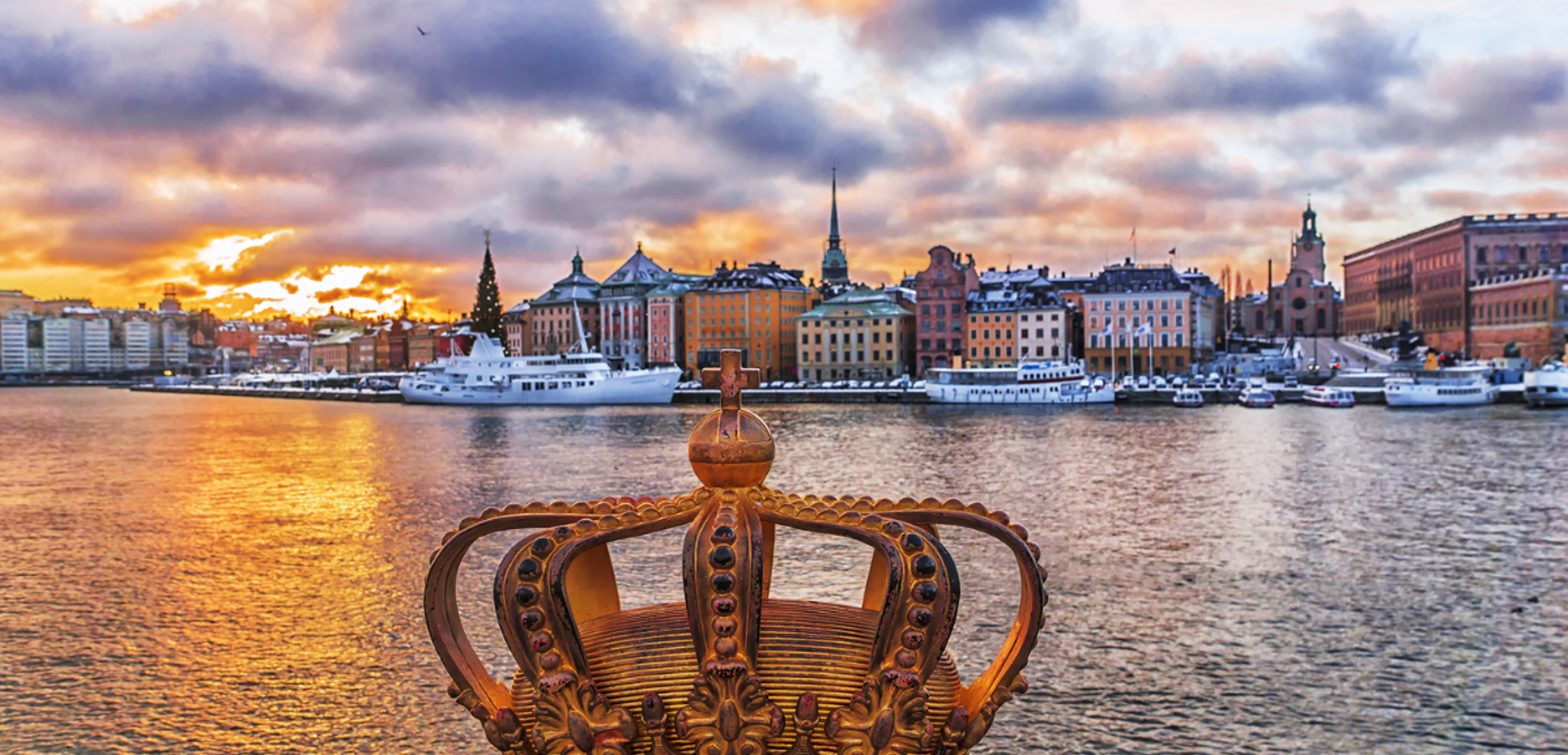 Suivez le guide à travers les rues de la ville !