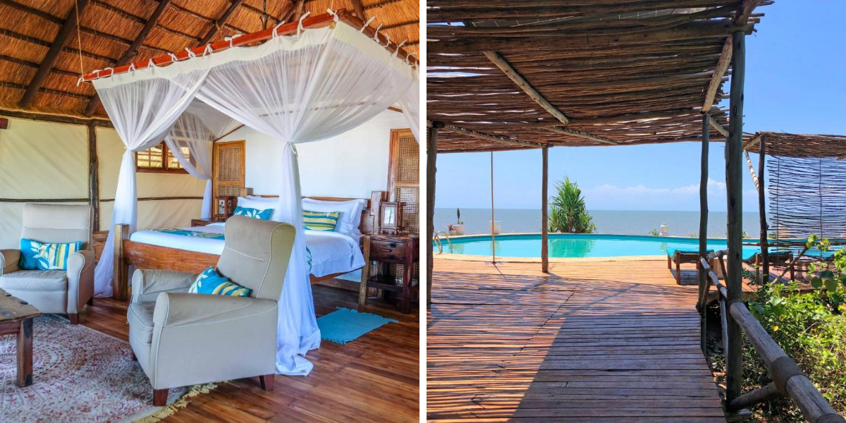 Avec nuit au Lodge Saadani avec piscine (en option)