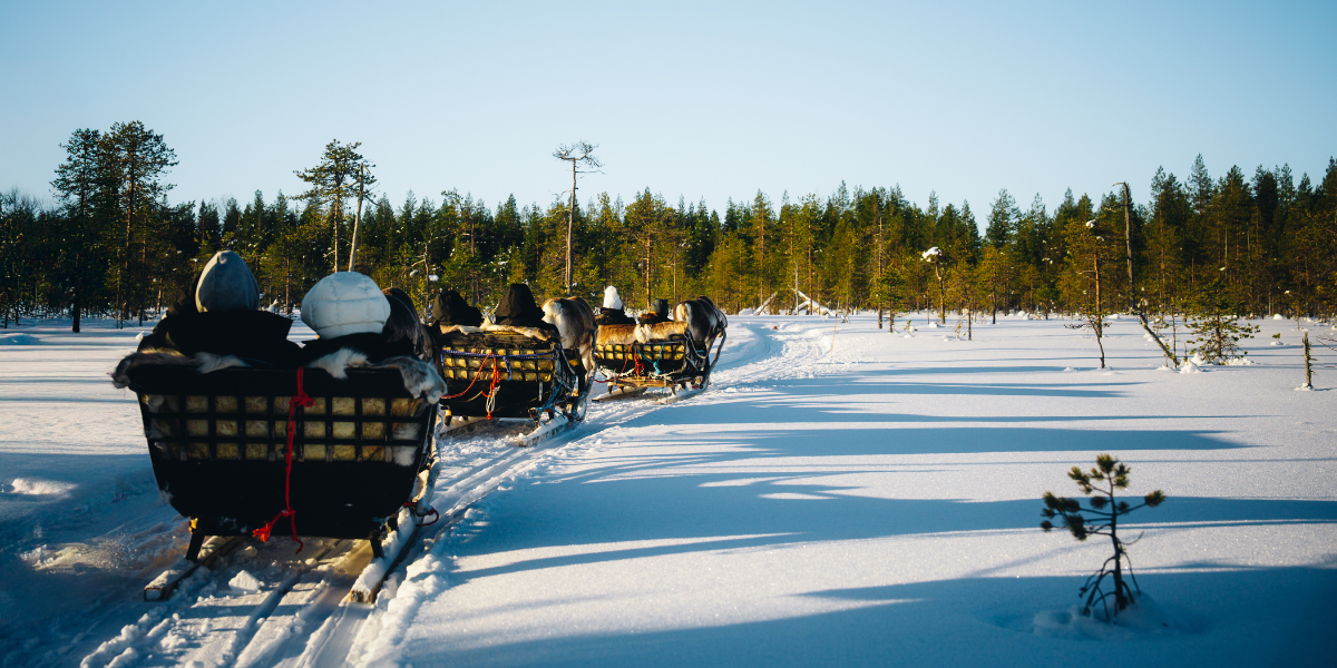 Une balade en traineau à rennes dans les paysages immaculés 