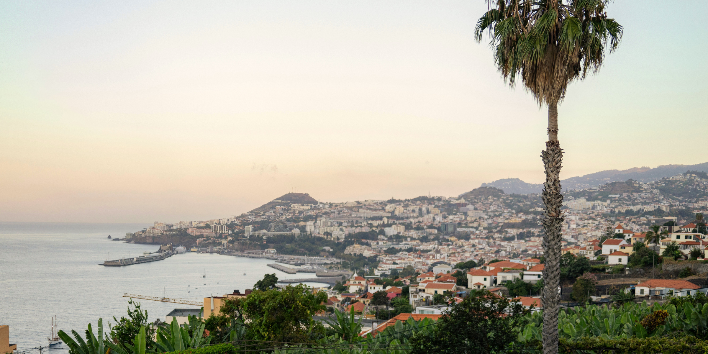 Funchal, Madère, Portugal ©Mick Kirchman/ Unsplash
