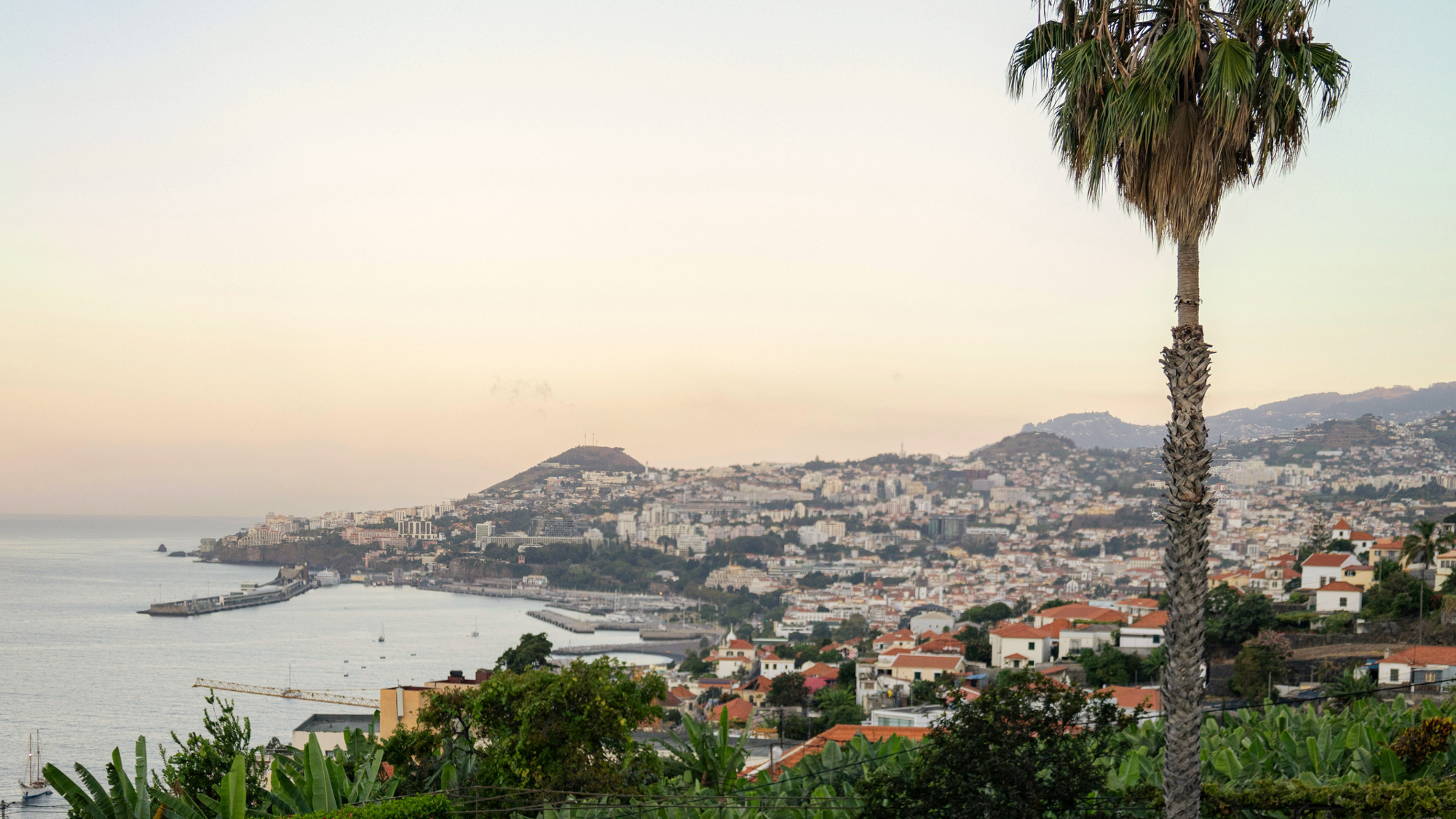 Funchal, Madère, Portugal ©Mick Kirchman/ Unsplash