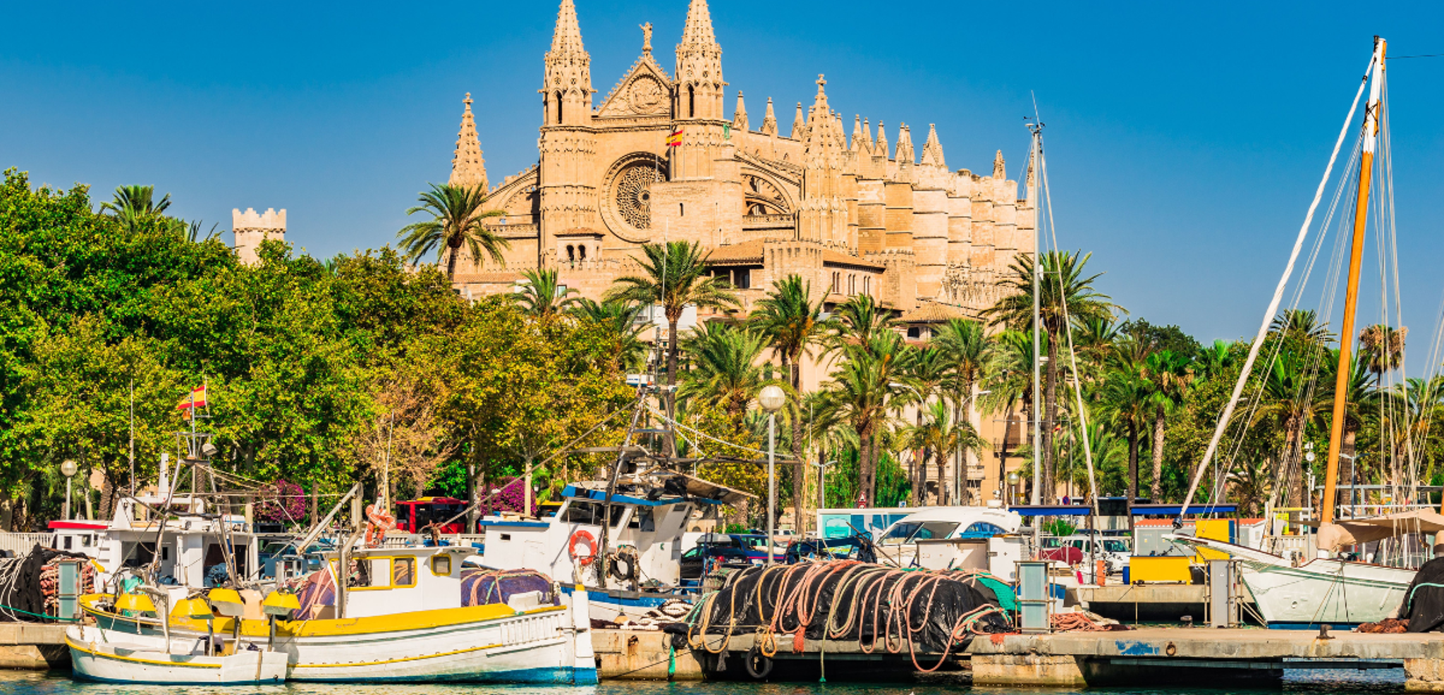 Bienvenue à Palma de Majorque