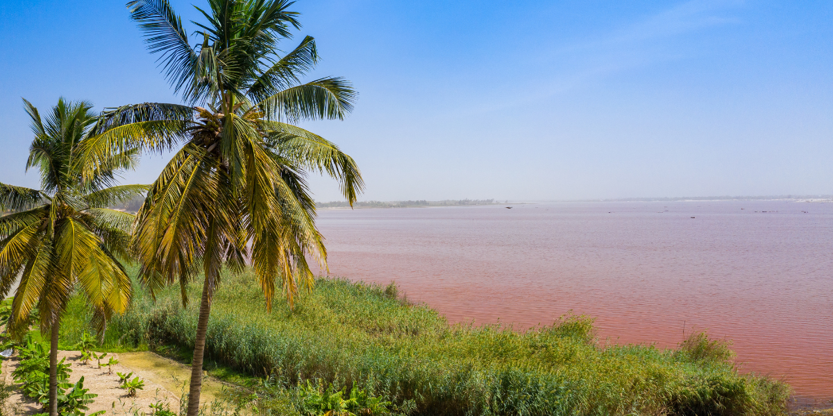 Le lac Retba