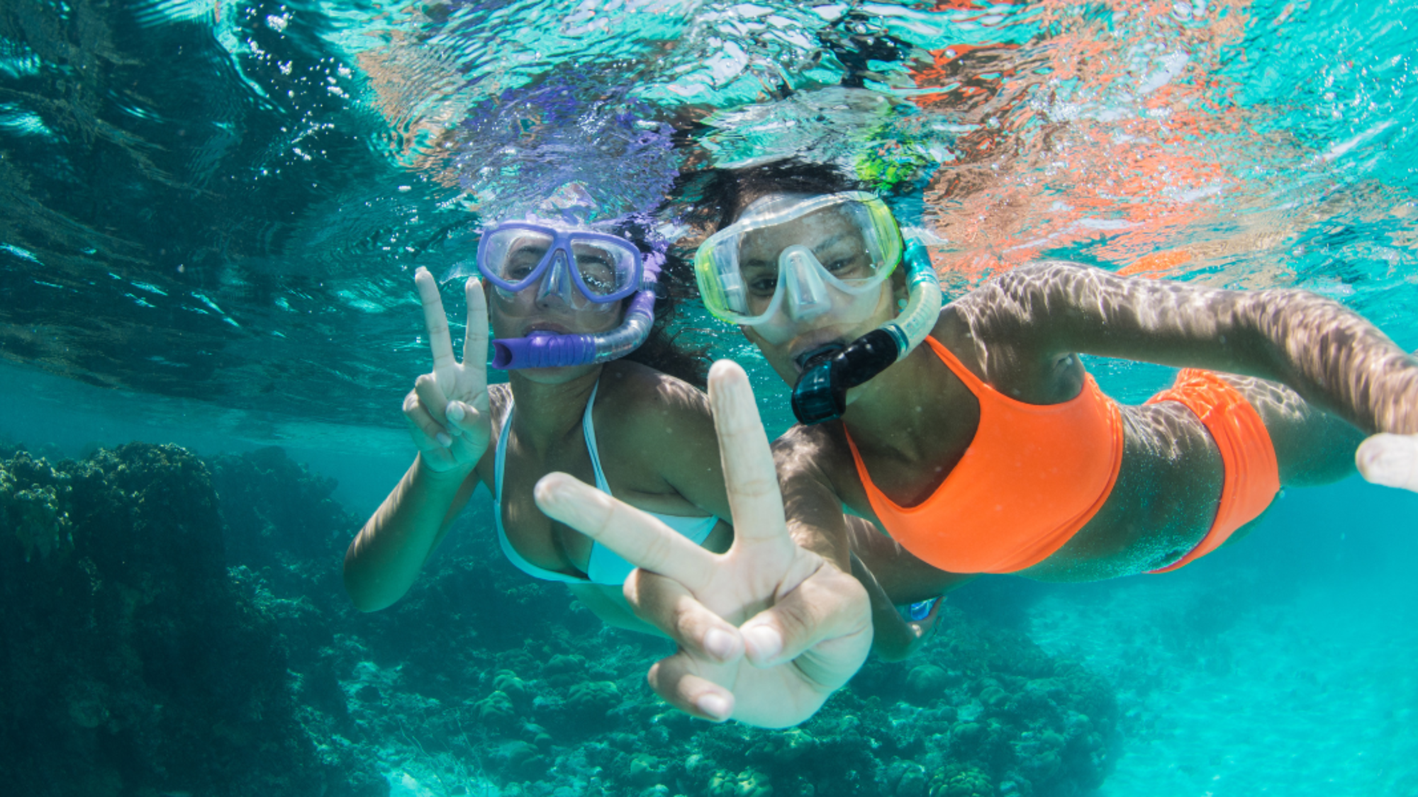 Explorez les fonds marins