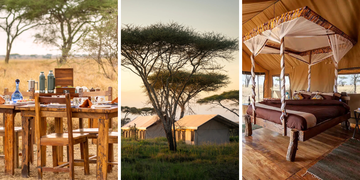 Votre campement à Serengeti : le Mawe Tented camp (ou similaire) - jours 3 et 4 