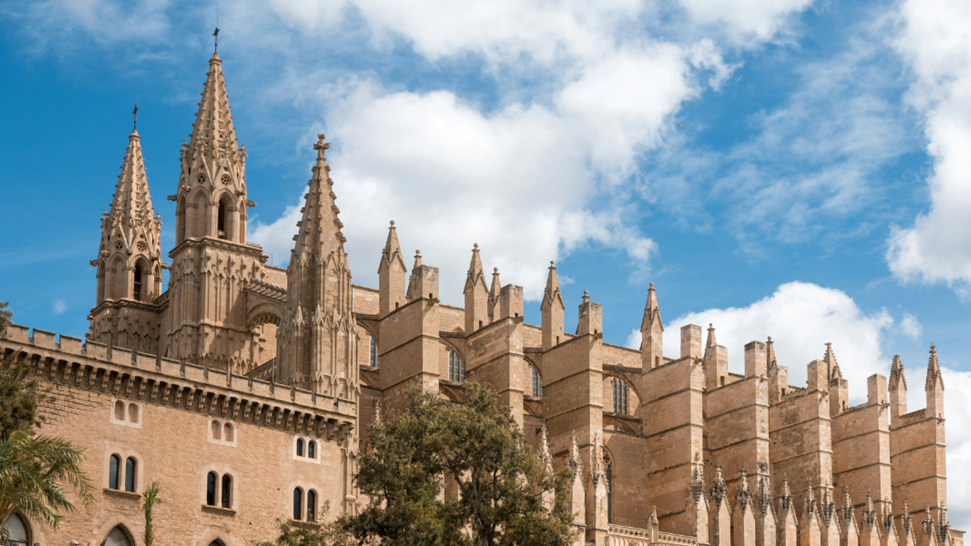 Palma de Majorque, Espagne ©Federico di dio / Unspalsh