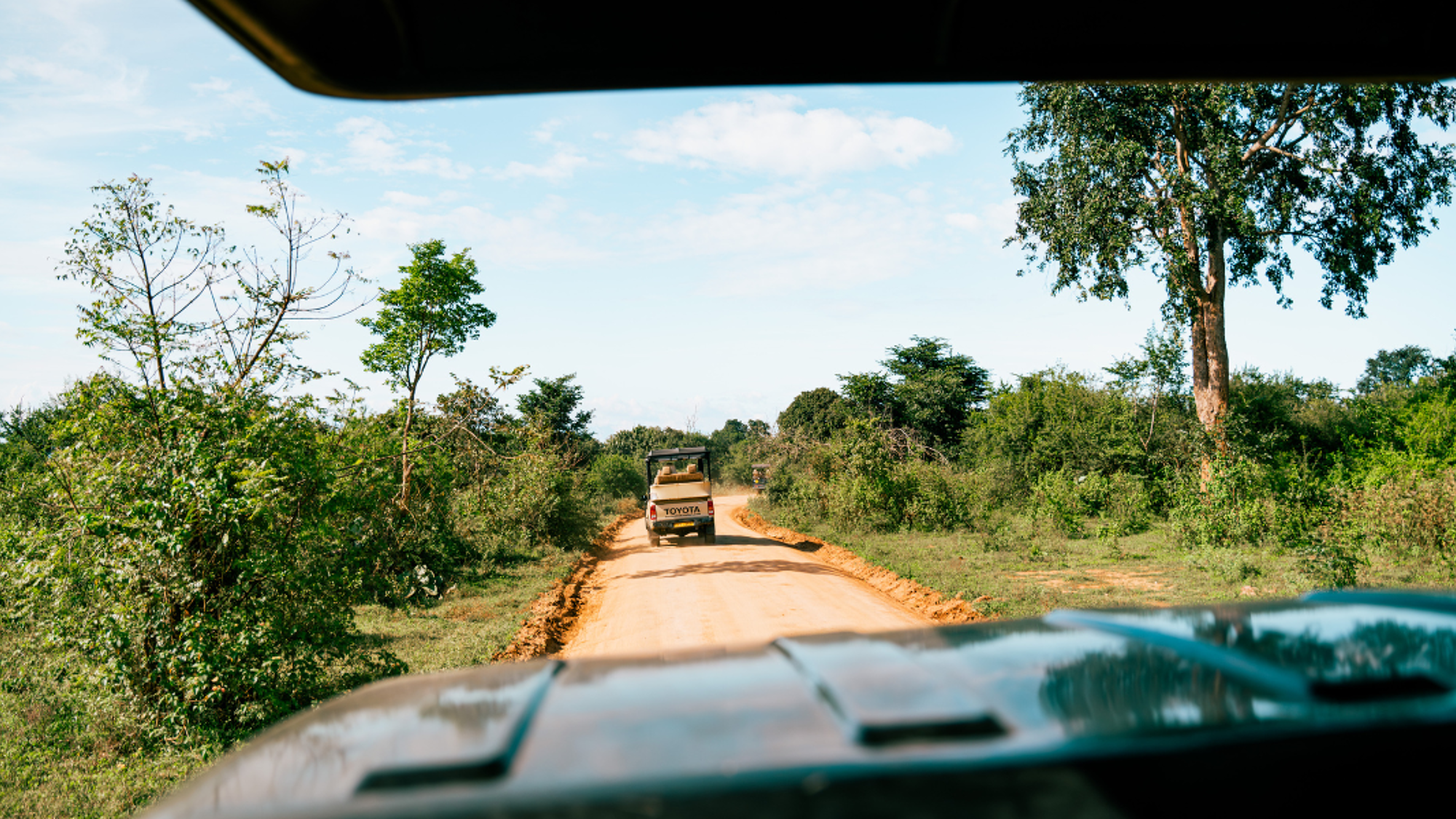 La safari 4x4 dans le Parc National d'Udawalawe, jour 8