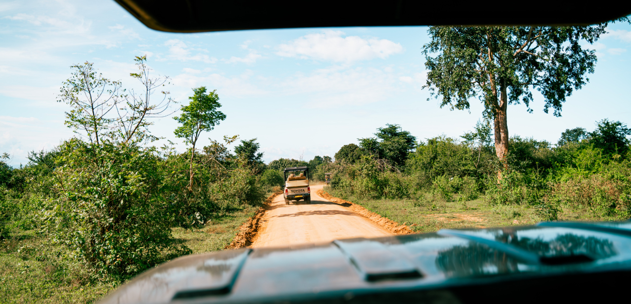 La safari 4x4 dans le Parc National d'Udawalawe, jour 8
